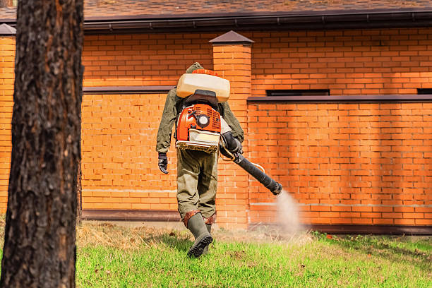 Bed Bug Clearance Verification and Documentation in City View